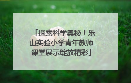 探索科学奥秘！乐山实验小学青年教师课堂展示绽放精彩
